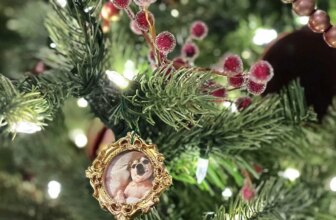 How to Make DIY Vintage Christmas Frame Ornaments ...