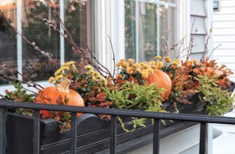 Beyond the Mum: Fall Container and Window Box Idea...